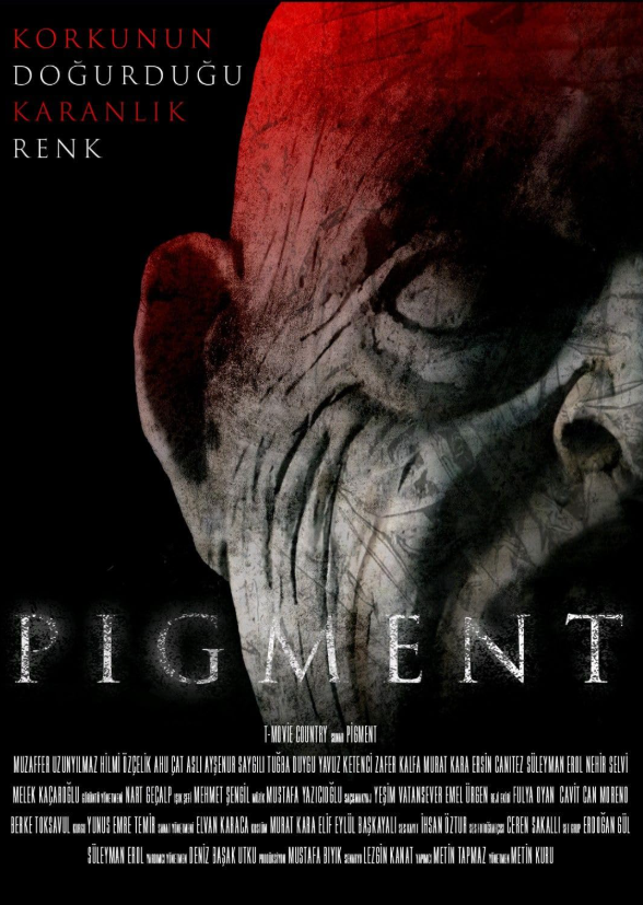 Pigment 2024